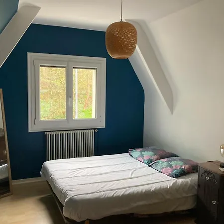 A Louer Avec Grand Lit 160 Par 200 Au Mans Homestay Le Mans